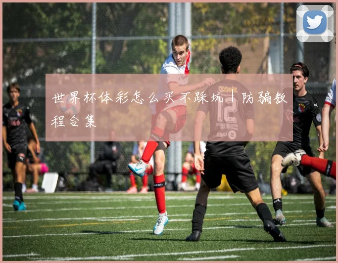 世界杯体彩怎么买不踩坑｜防骗教程合集
